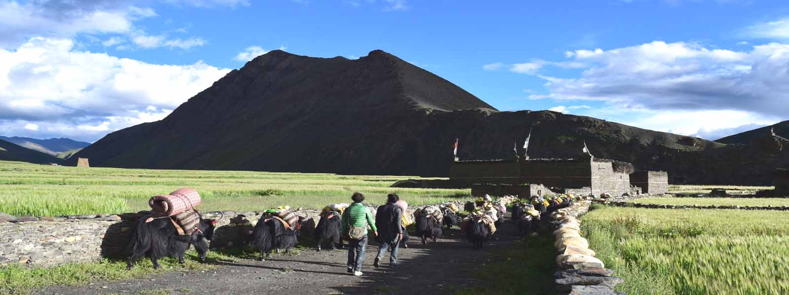 Upper Dolpo Banner 