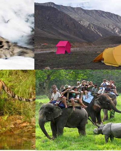 Wildlife Tours & Treks in Nepal 