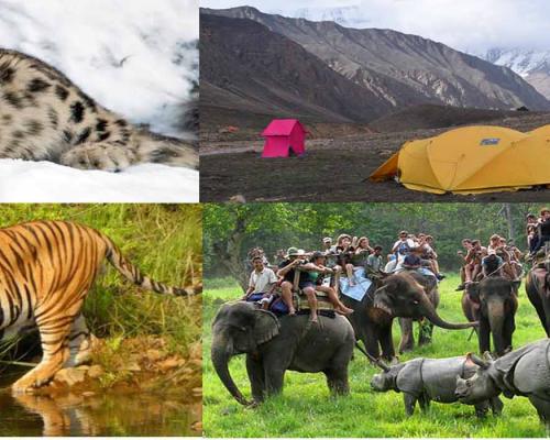 Wildlife Tours & Treks in Nepal 