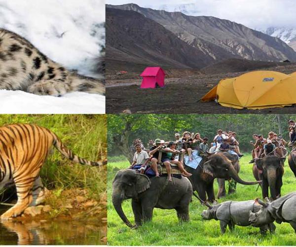 Wildlife Tours & Treks in Nepal 