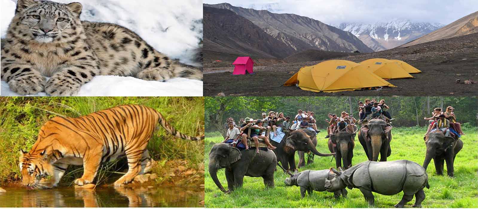 Wildlife Tours & Treks in Nepal 