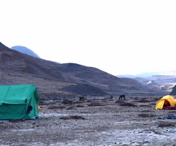 Upper Dolpo Upper Mustang Treks(Lomanthang) 