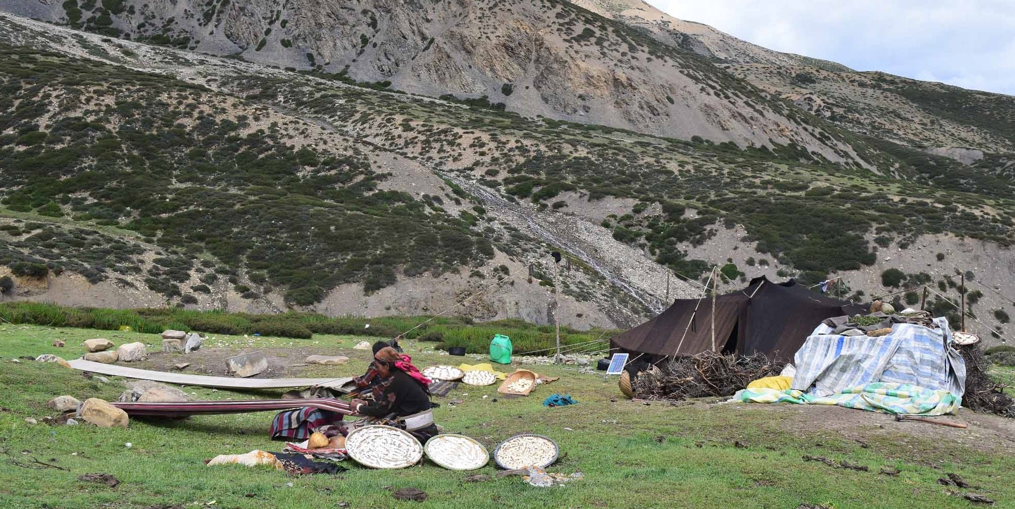 Dolpo Treks in Summer-...